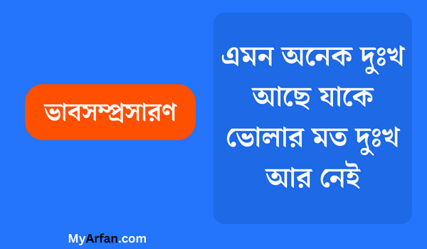 এমন অনেক দুঃখ আছে যাকে ভােলার মত দুঃখ আর নেই - ভাবসম্প্রসারণ