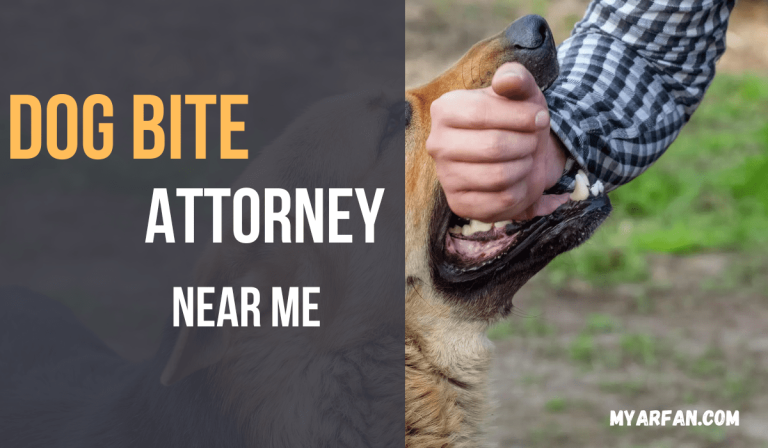 Dog Bite Attorney Near Me | Best Dog Bite Attorney in USA