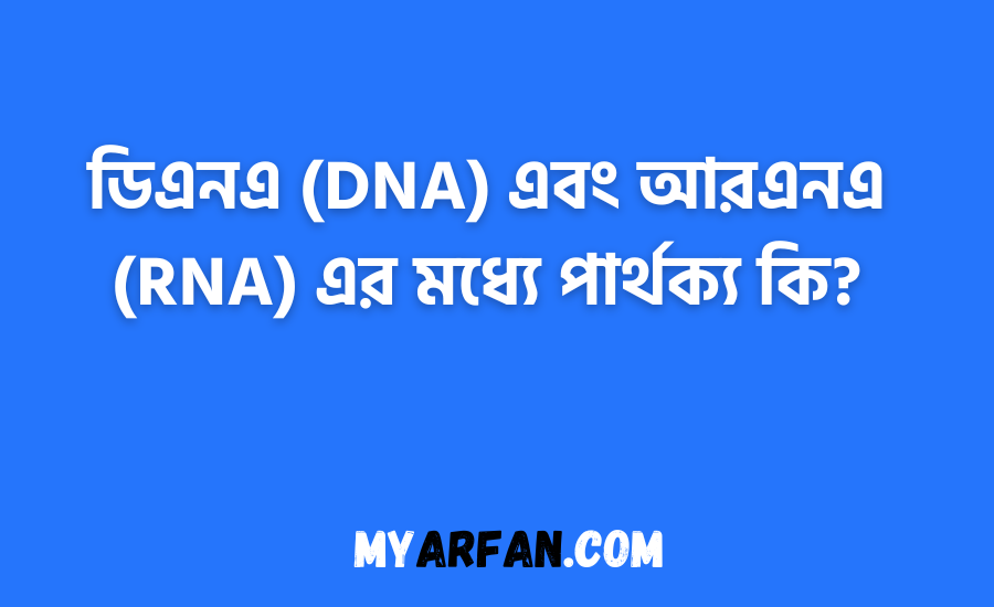 ডিএনএ (DNA) এবং আরএনএ (RNA) এর মধ্যে পার্থক্য কি