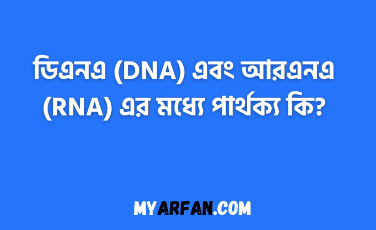 ডিএনএ (DNA) এবং আরএনএ (RNA) এর মধ্যে পার্থক্য কি?