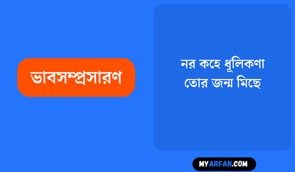 নর কহে ধূলিকণা, তাের জন্ম মিছে, চিরকাল পড়ে রইলি, চরণের নিচে ধূলিকণা কহে, 'ভাই কেন কর ঘৃণা তােমার দেহের আমি পরিণাম কিনা - ভাবসম্প্রসারণ