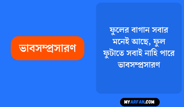ফুলের বাগান সবার মনেই আছে, ফুল ফুটাতে সবাই নাহি পারে - ভাবসম্প্রসারণ