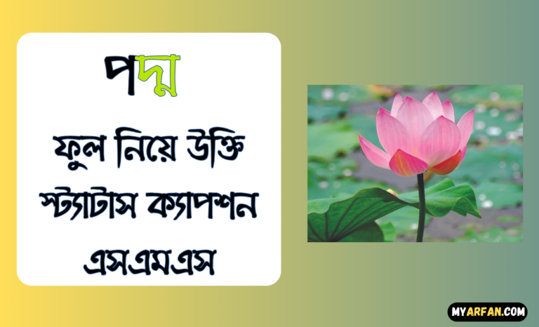 পদ্ম ফুল নিয়ে উক্তি স্ট্যাটাস ক্যাপশন এসএমএস