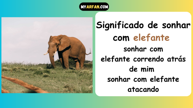 sonhar com elefante atacando