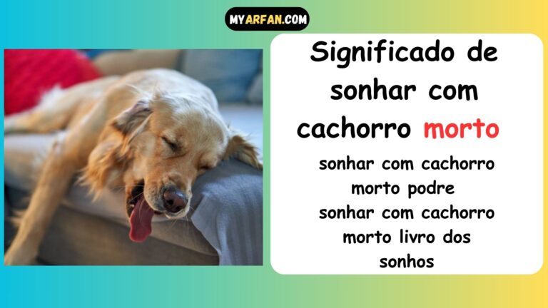 sonhar com cachorro morto sem cabeça