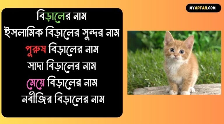 ইসলামিক বিড়ালের নাম