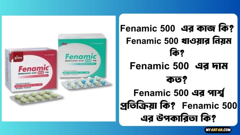 Fenamic 500 এর কাজ কি?